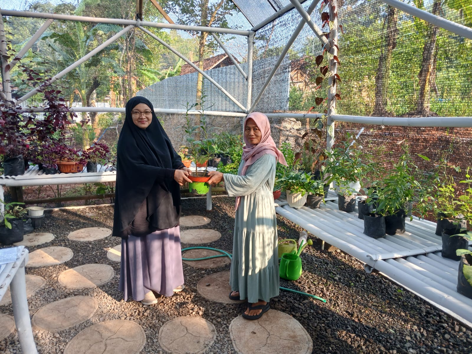 Pengabdian Kepada Masyarakat di Kampung Jahe Pulesari